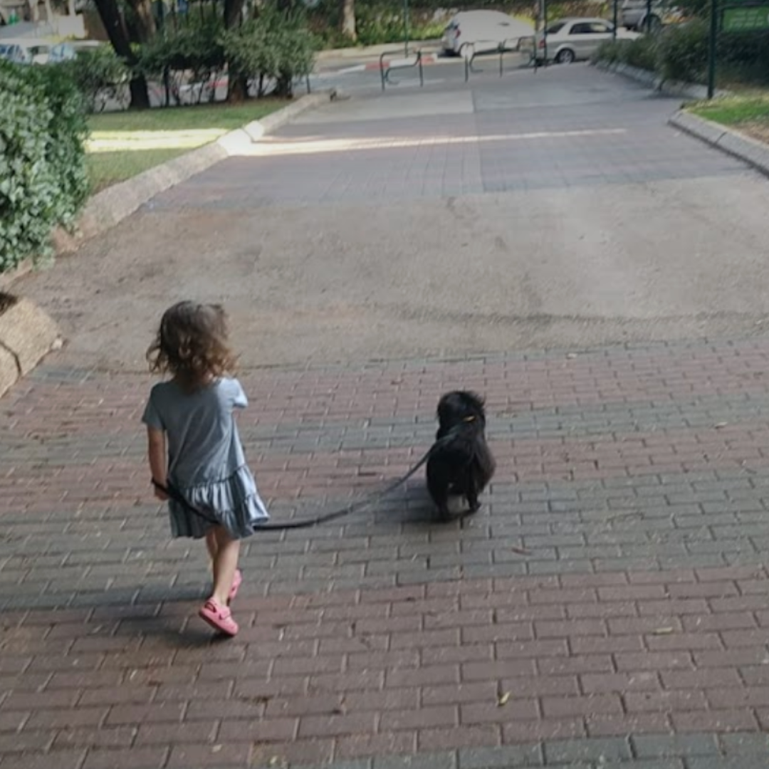 dog-walking-thornhill-toronto-ontario