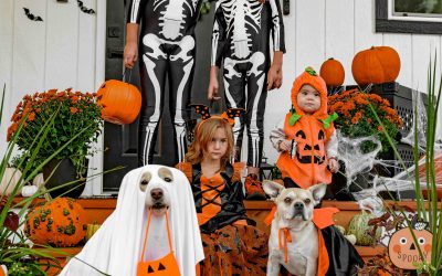 Make Halloween Safe and Fun for Your Dog: Pet-Friendly Advice