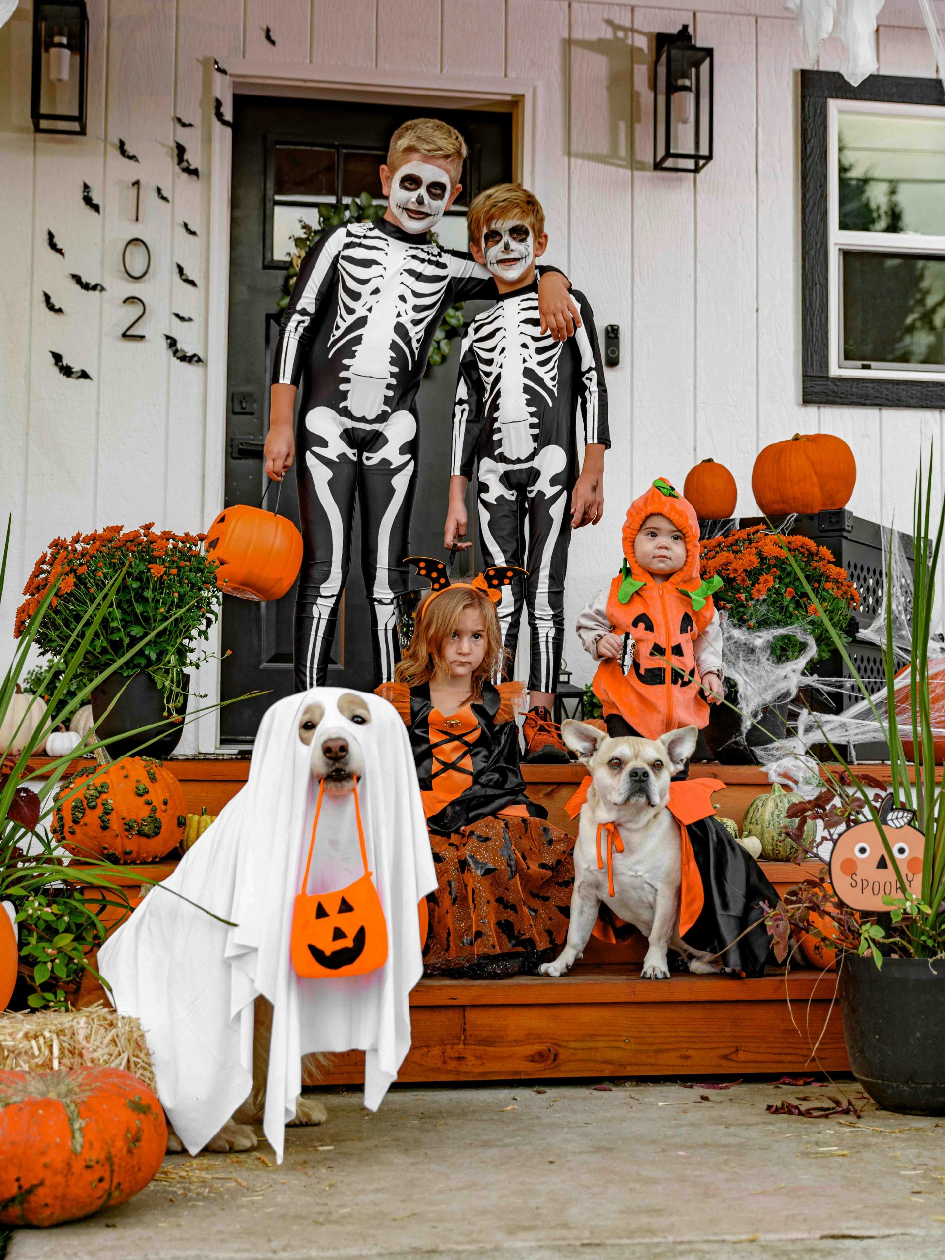 Children and dogs dressed in Halloween costumes sitting on a decorated front porch with pumpkins and autumn decor. Photo by Impact Dog Crates on Pexels.
