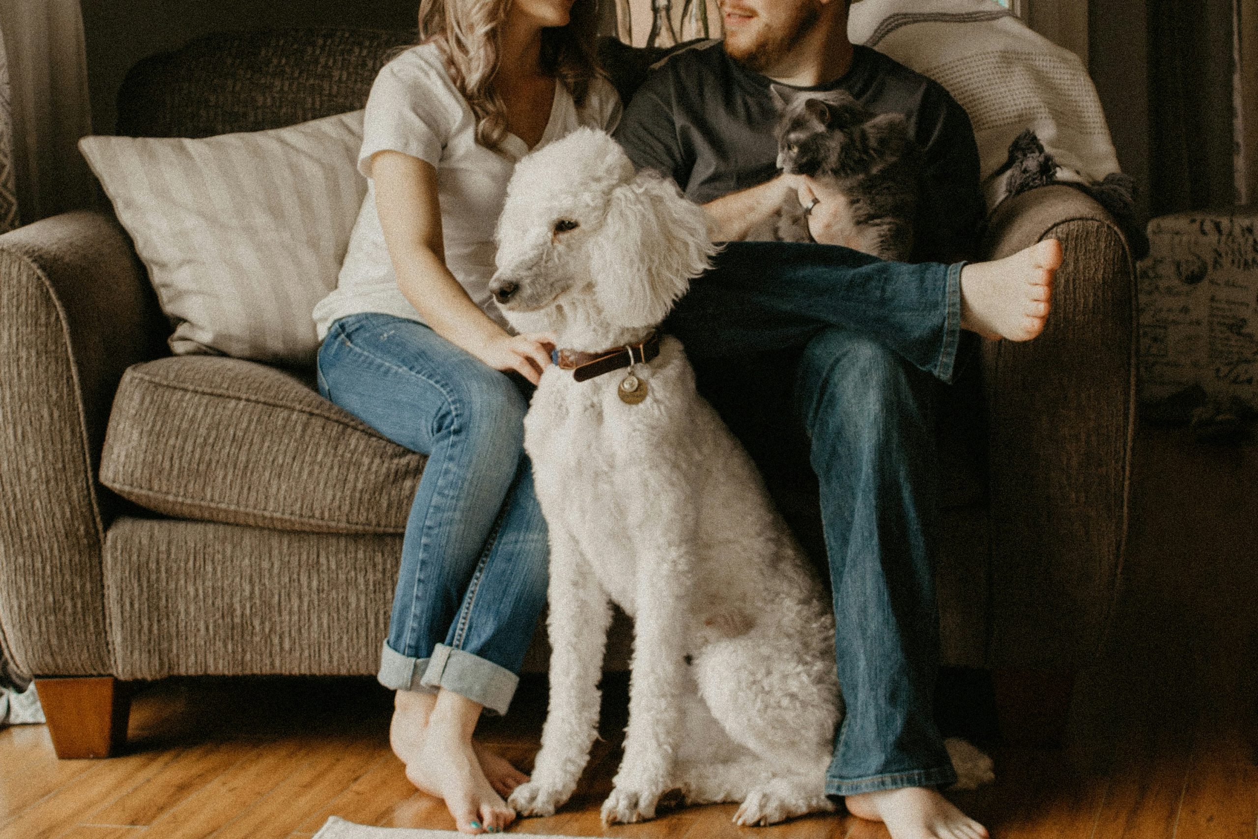 How to Choose the Right Dog Breed for Your Lifestyle | Couple with Dog at Home Couple sitting on a couch with their dog at home, representing how to choose the right dog breed for your lifestyle
