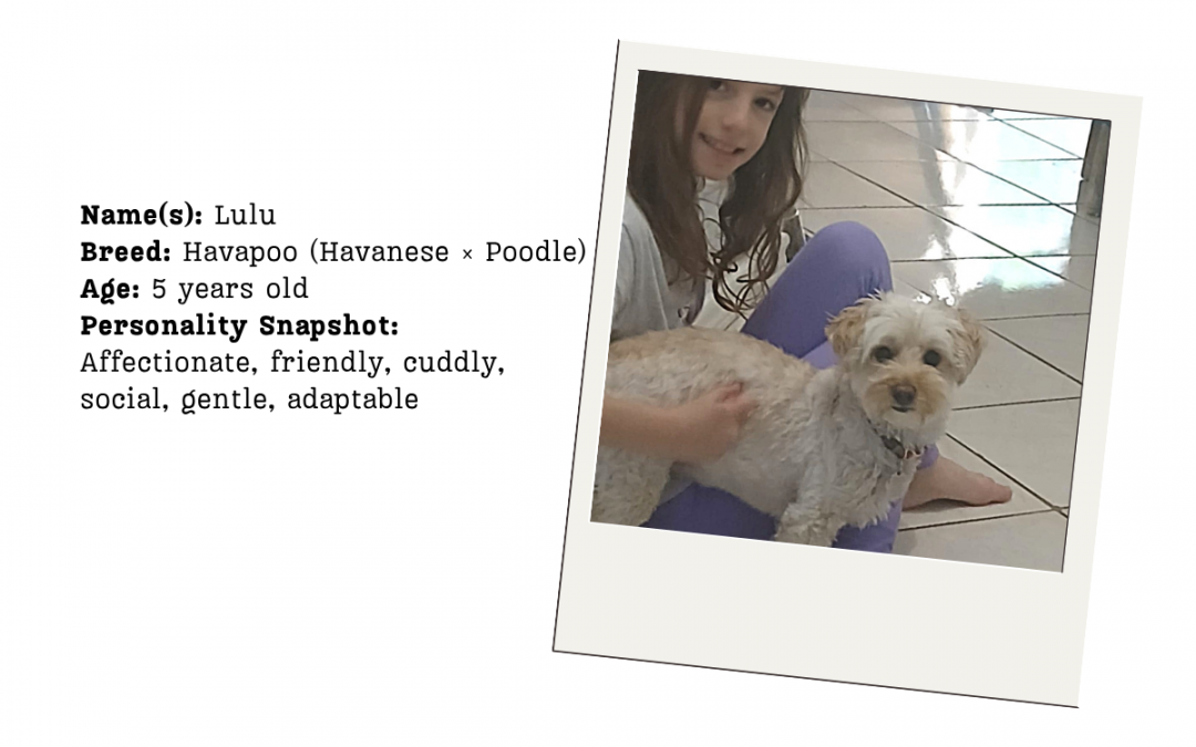 CASE STUDY: How Lulu found her home away from home
